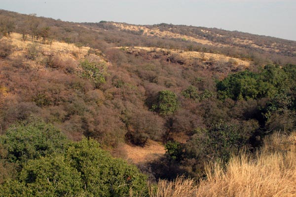 Ranthambhore