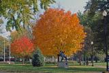 Autumn in Foster Park - Near Our Home