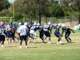 Dallas Cowboys Training for 2004-2005 Season.jpg