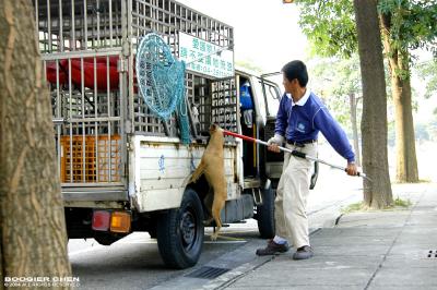 ¡i¥þ¥Á¤½¼Ä¡÷®·¤ü¶¤ / ¤ü¼Ü ..... Save Taiwan Stray Dogs¡j