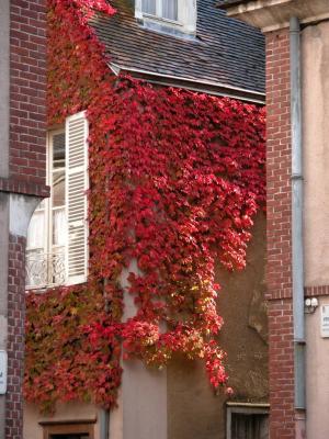 Chartres, October 2004