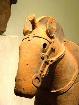 Ancient horse