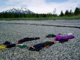 drying out on the beach- east arm