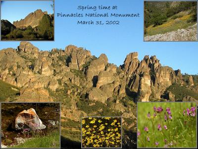 Spring time at Pinnacles National Monument