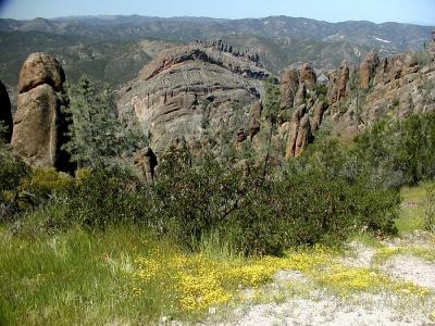 0P3316536_BalconiesYllwFlwrsIF.jpg