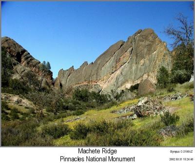 0P3316622_Machete.jpg