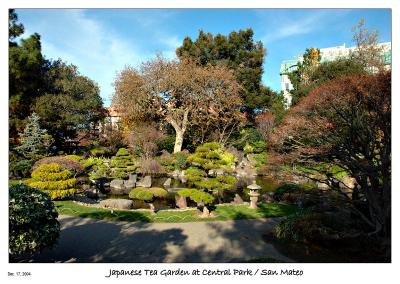 Japanese Tea Garden at Central Park - San Mateo