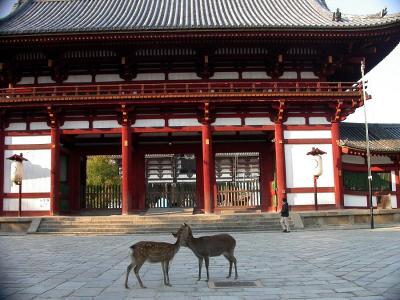 Todaiji Temple, Nara
