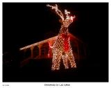 Giant Reindeer