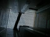 DSCN3014_LookinUp.jpg