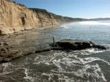 Torrey Pines Reserve