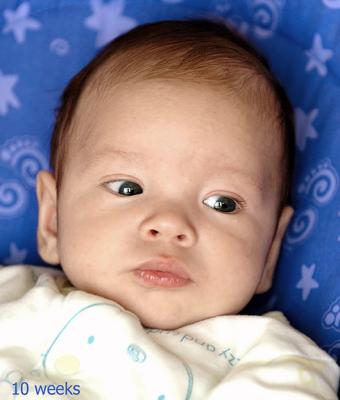 10-Weeks-2.jpg