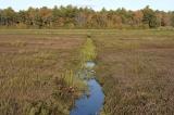 slt_beatonbogs_266.jpg