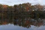 slt_beatonbogs_304.jpg