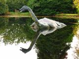 Nessie Reflection