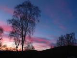 Clear Sky sign of more frost