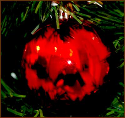 my  Christmas reflection