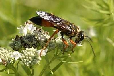 IMG_4886_f.jpg