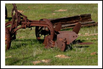 u6/cdrebel/medium/37591630.IMG_6099es.jpg