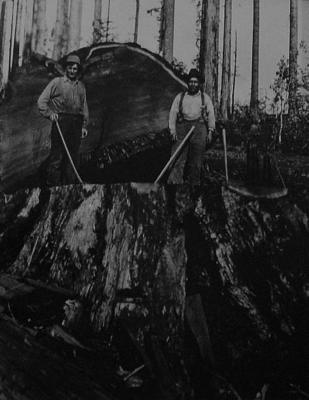 He is a lumberjack and he is okay5