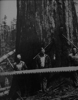 He is a lumberjack and he is okay9
