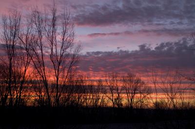 sun rise small.jpg