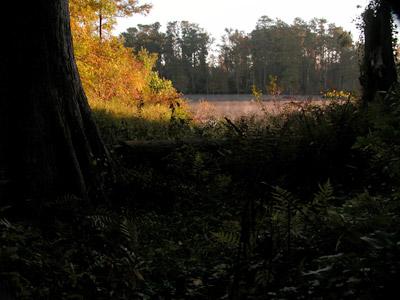 DSCN2722_exampleweb.jpg