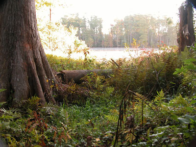 DSCN2723_example2web.jpg