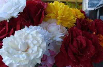 Img1140.jpg