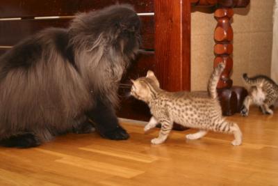 Phoebe & Teddy