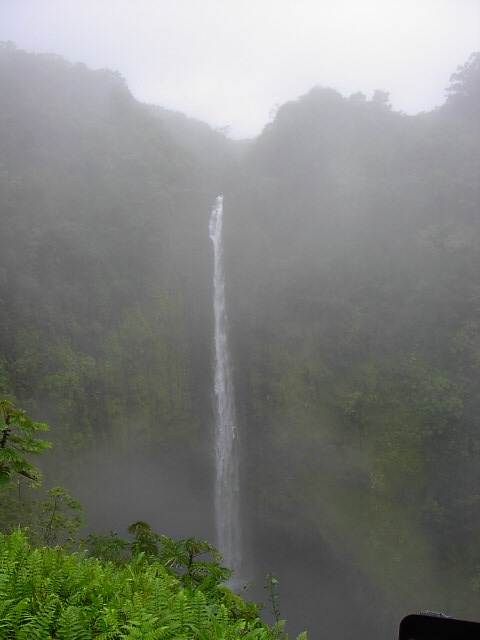 Akaka Falls, Hilo, The Big Island