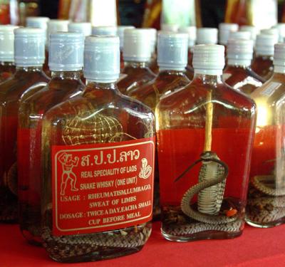 Laos-Snake Whisky - For what ails you