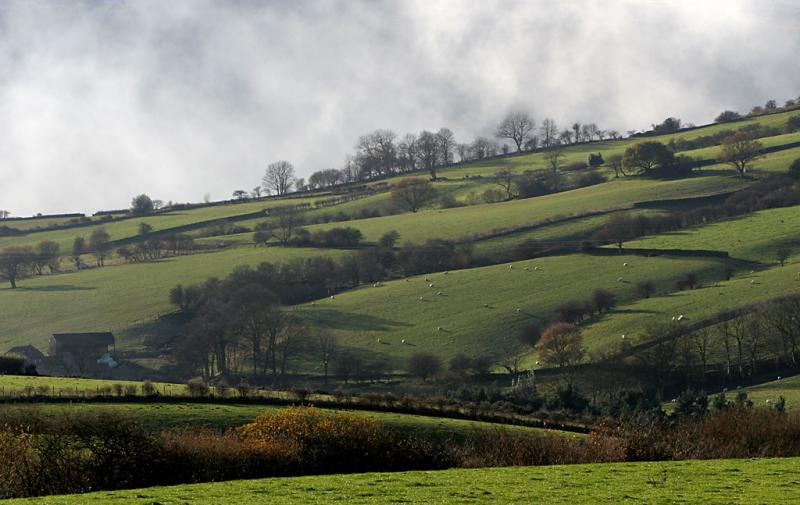 North York Moors