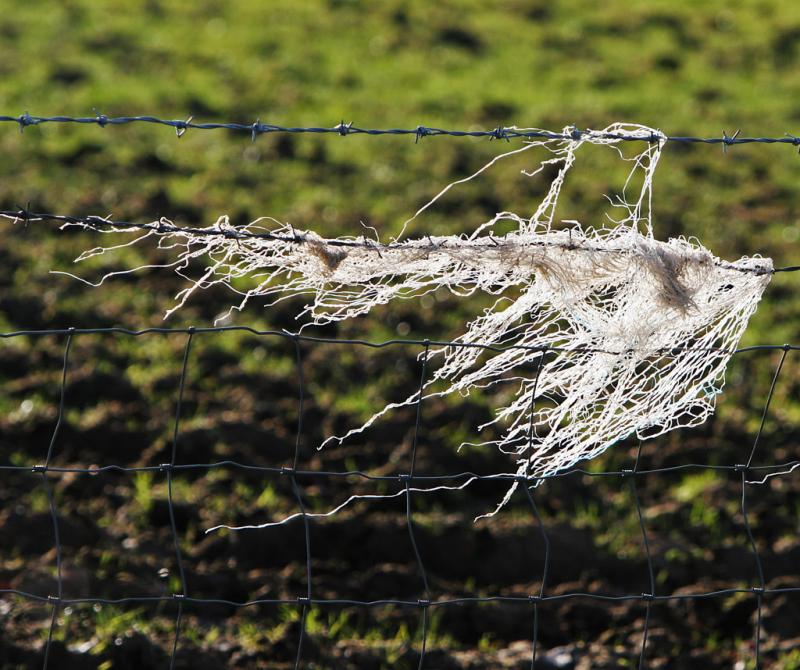 Netting on fence