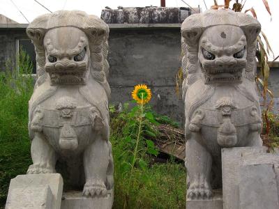 stone lions, qufu