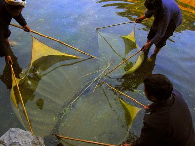 early morning fishermen, zhaoxin