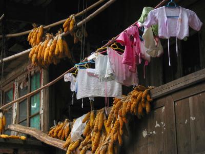 miao village scene