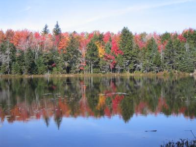 Another pond along the Turnpike-Lily Pond-where we saw moose tracks!