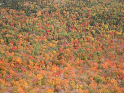 On the way down...Dickey Notch