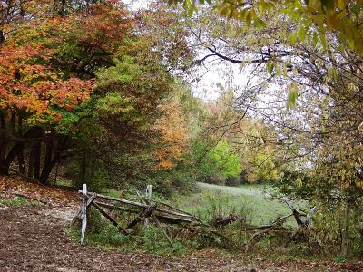 (fence, fall foliage, trail)