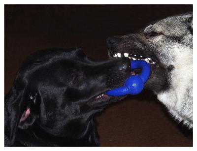 It's mine....No, it's MINE!