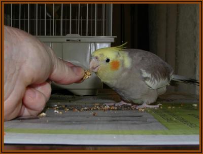 Taking a Handout
