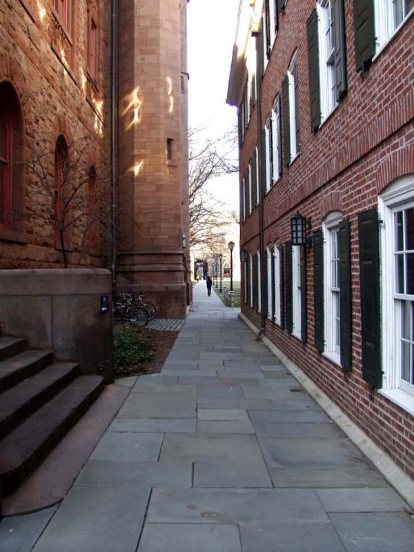 walkway view.jpg