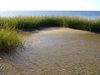 First Encounter beach.jpg