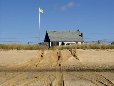 Wellfleet tire tracks .jpg