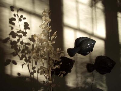 cottage pond reflection.jpg