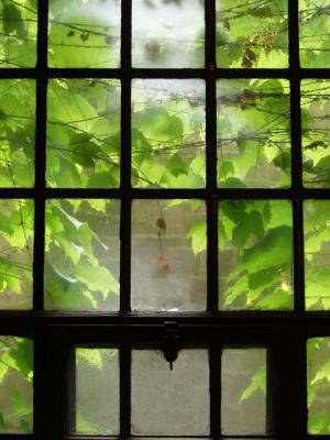 history of art window.jpg