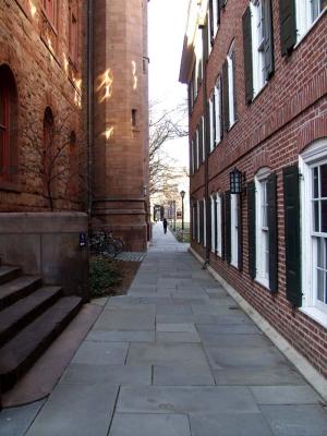 walkway view.jpg