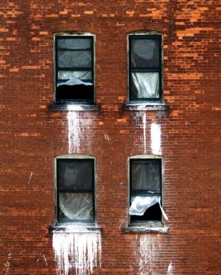 windows.jpg