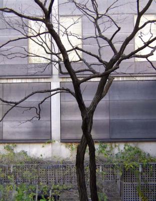 ext west side 2 copy.jpg